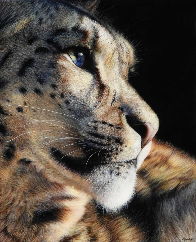 snow leopard painting for sale by Amber Tydesley