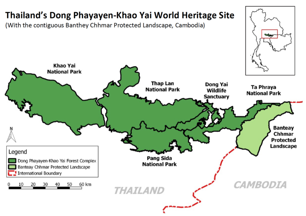 Hope for the Tigers of Dong Phayayen-Khao Yai Forest Complex in Thailand 