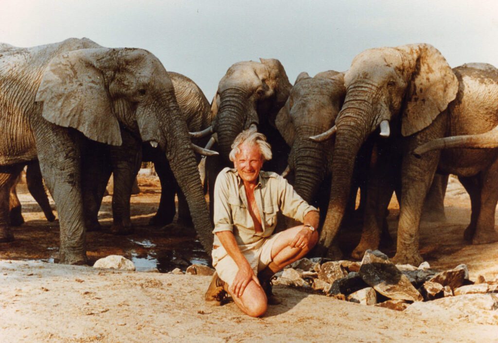 David Shepherd OBE with elephants