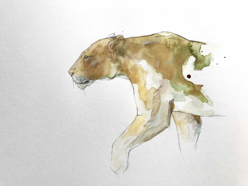 lioness coffee painting
