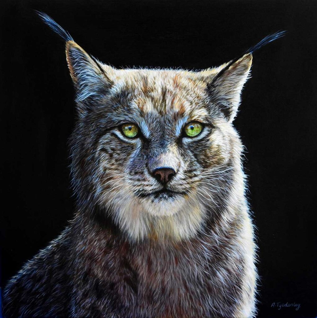 acrylic artwork of lynx by artist Amber Tydesley