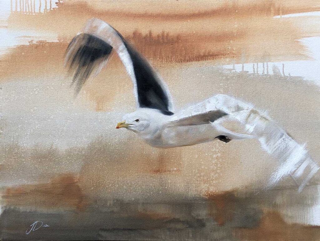 seagull artwork by Joni-Leigh Doran