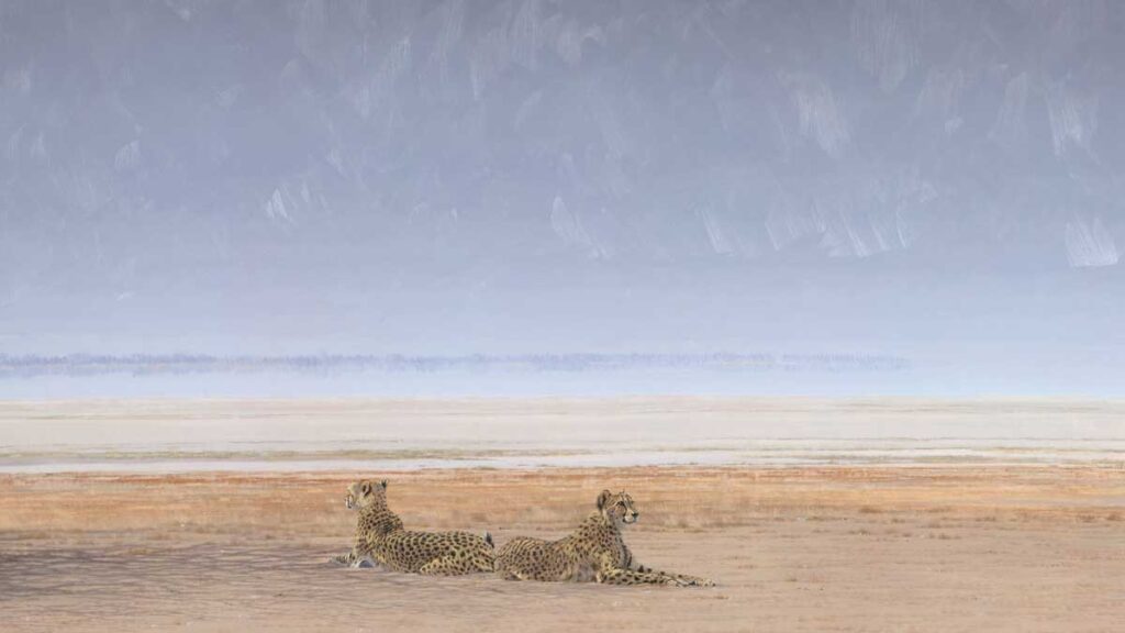 paul dixon painting of cheetahs