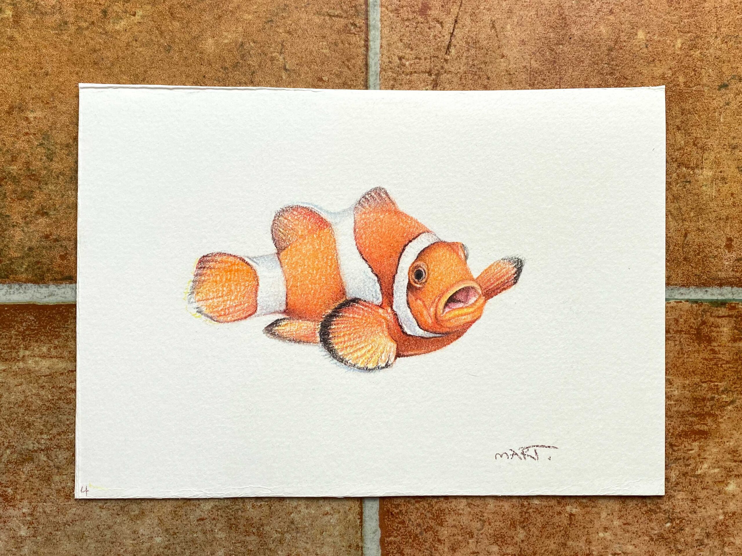 Buy this Clown Fish by Martin Aveling in aid of conservation