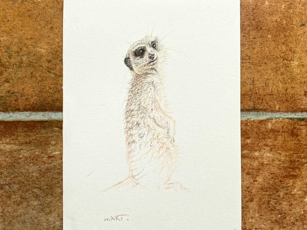 Buy this meerkat by Martin Aveling in aid of conservation