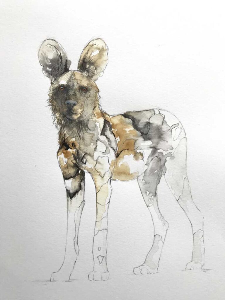 Buy this original Painted Dog by Stephen Rew to raise funds for conservation