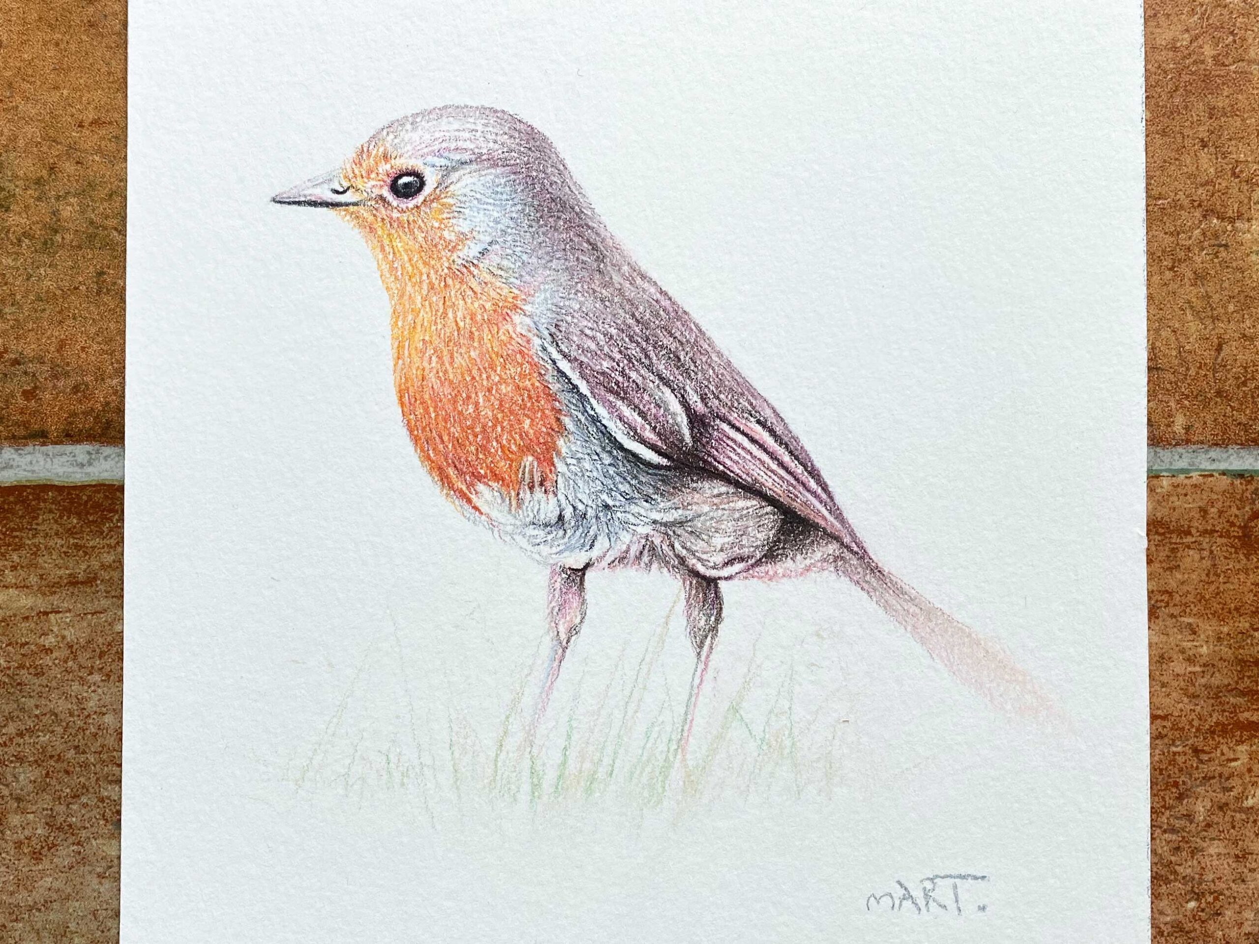 Buy this robin by Martin Aveling in aid of conservation