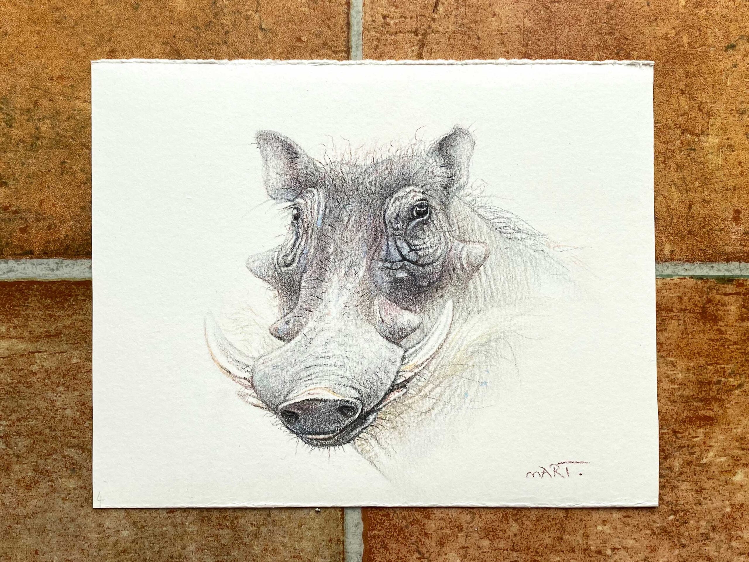 Buy this warthog by Martin Aveling in aid of conservation