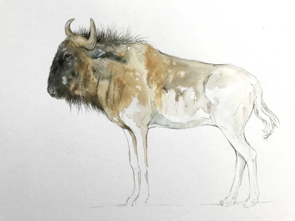 wildebeest coffee painting