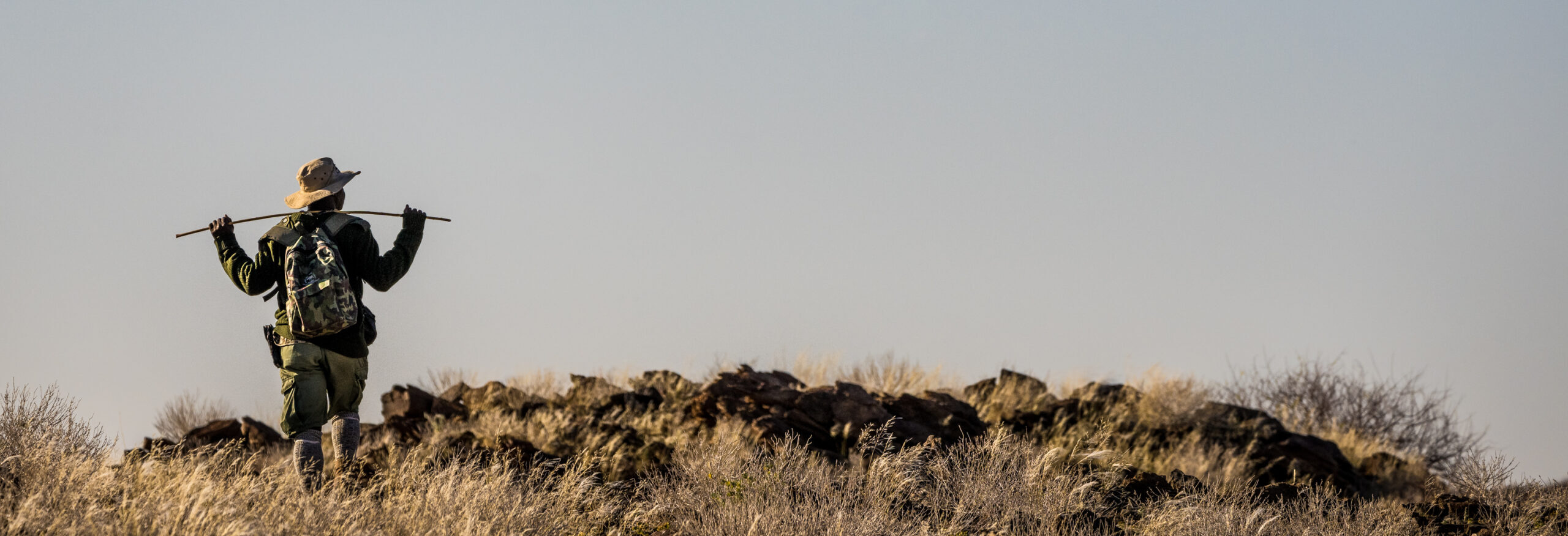 Volunteering with DSWF | David Shepherd Wildlife Foundation
