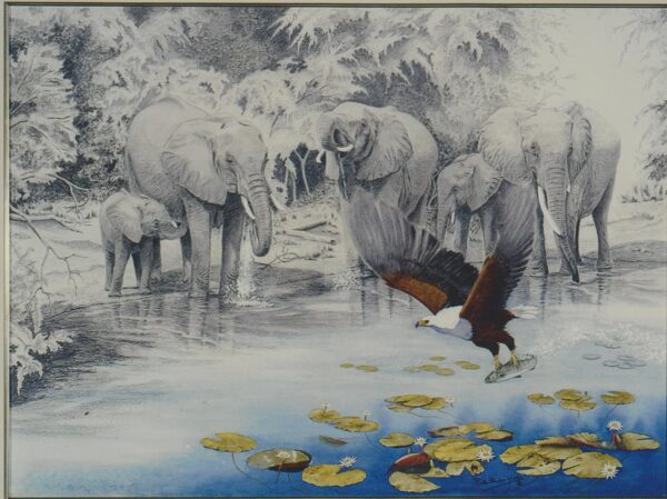 David Shepherd Wildlife Foundation