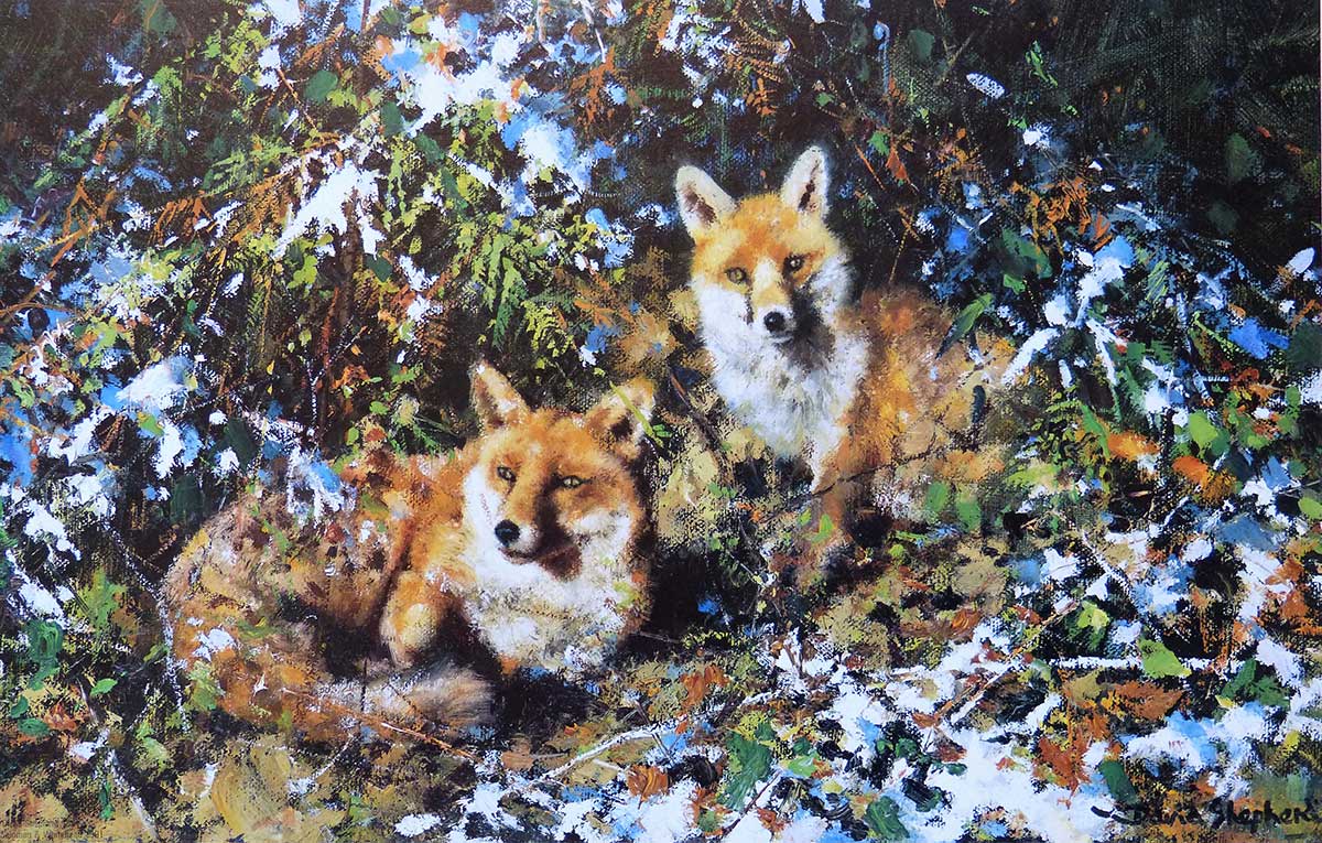 Winter Foxes David Shepherd Wildlife Foundation Winter Foxes David Shepherd Wildlife Foundation