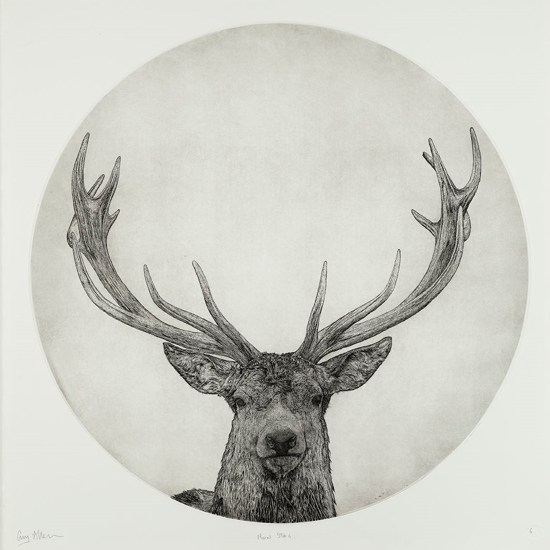 Gray deer art, Print Gift idea, Deer head illustration, Gray deer