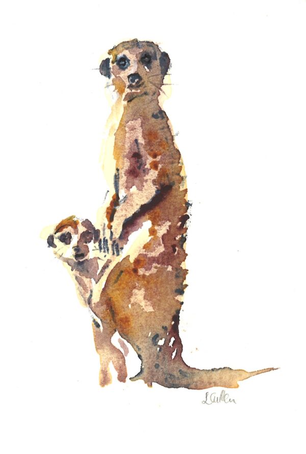 No. 12 - Meerkats