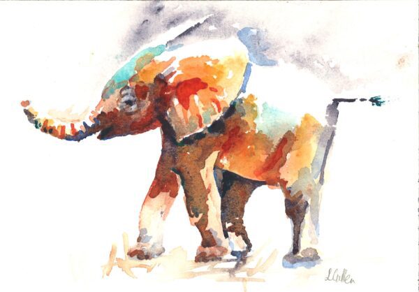 No. 14 - Baby Elephant