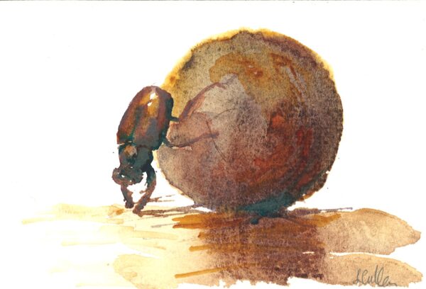 No. 15 - Dung Beetle