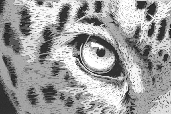 No. 19 - Chinch Eye Jaguar