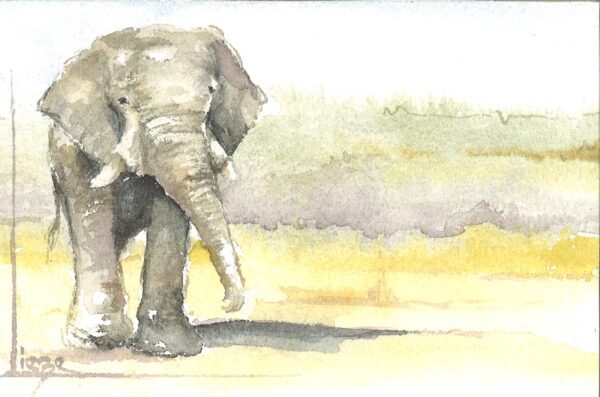 No. 24 - African Elephant