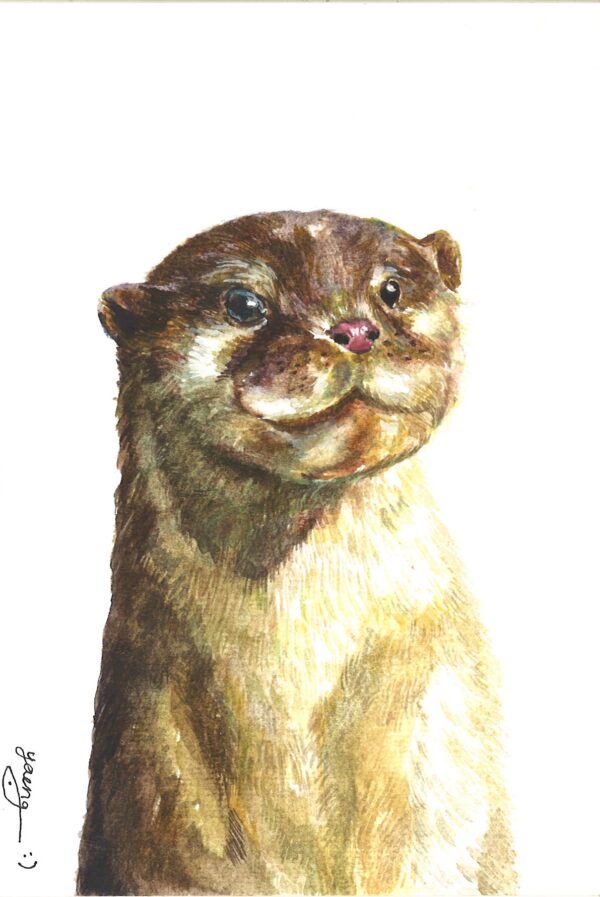No. 33 - Otter