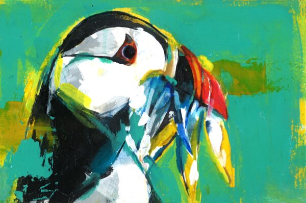 No. 37 - Puffin