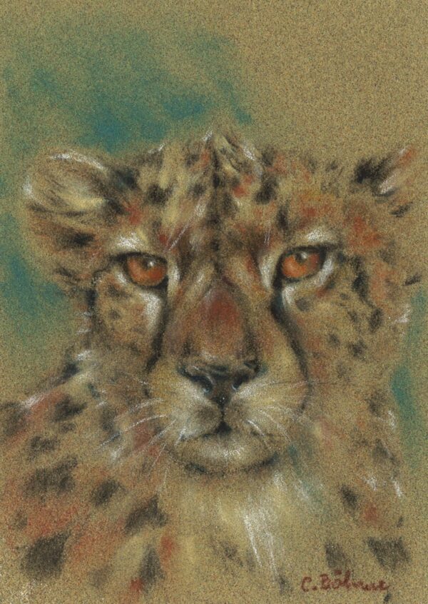 No. 46 - Cheetah