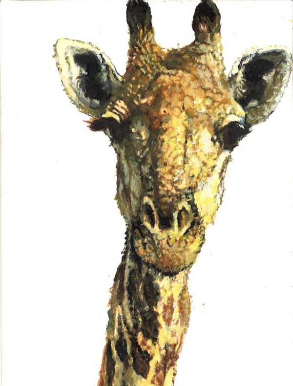 No. 66 - Giraffe