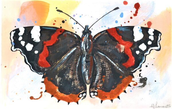 No. 73 - Red Admiral