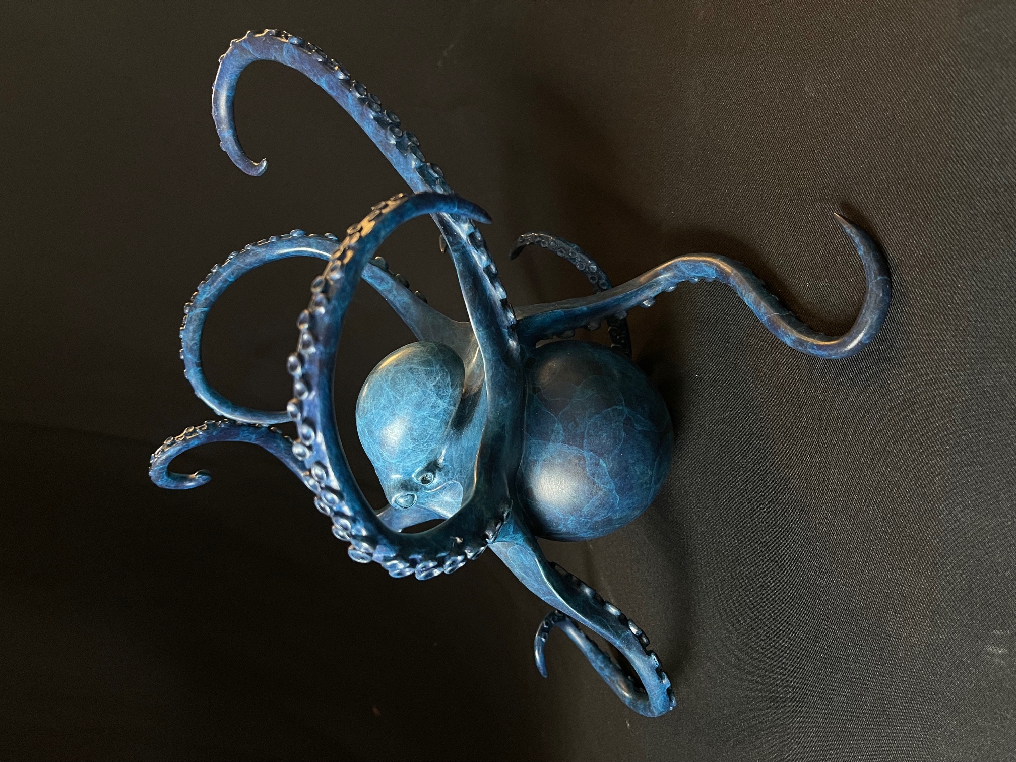 Image of Octopus on Ball by Stephen Rew
