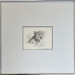 Image of David Shepherd Cheetah Cameo pencil sketch in a frame