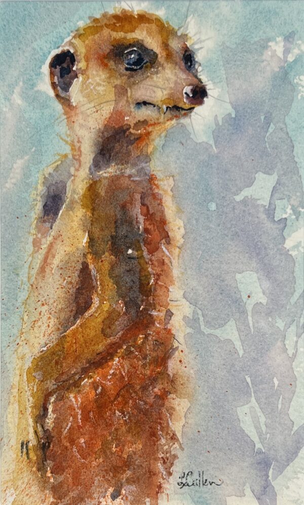Image of Meerkat by Lindy Cullen
