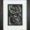 Image of framed Tiger Eye by Levi Hurst