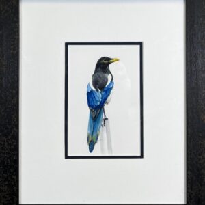 Image of framed Bird, Blue Wings by Jung Jang