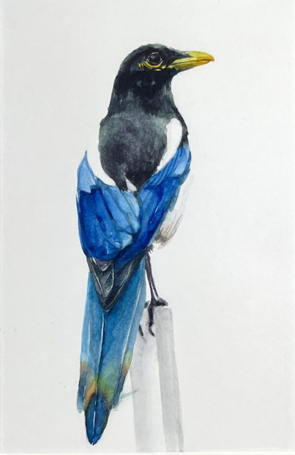 Image of Bird, Blue Wings by Jung Jang