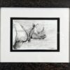 Image of framed One Horned Rhino by Neal Griffin