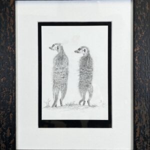 Image of framed Meerkats by Jacqueline Kamio