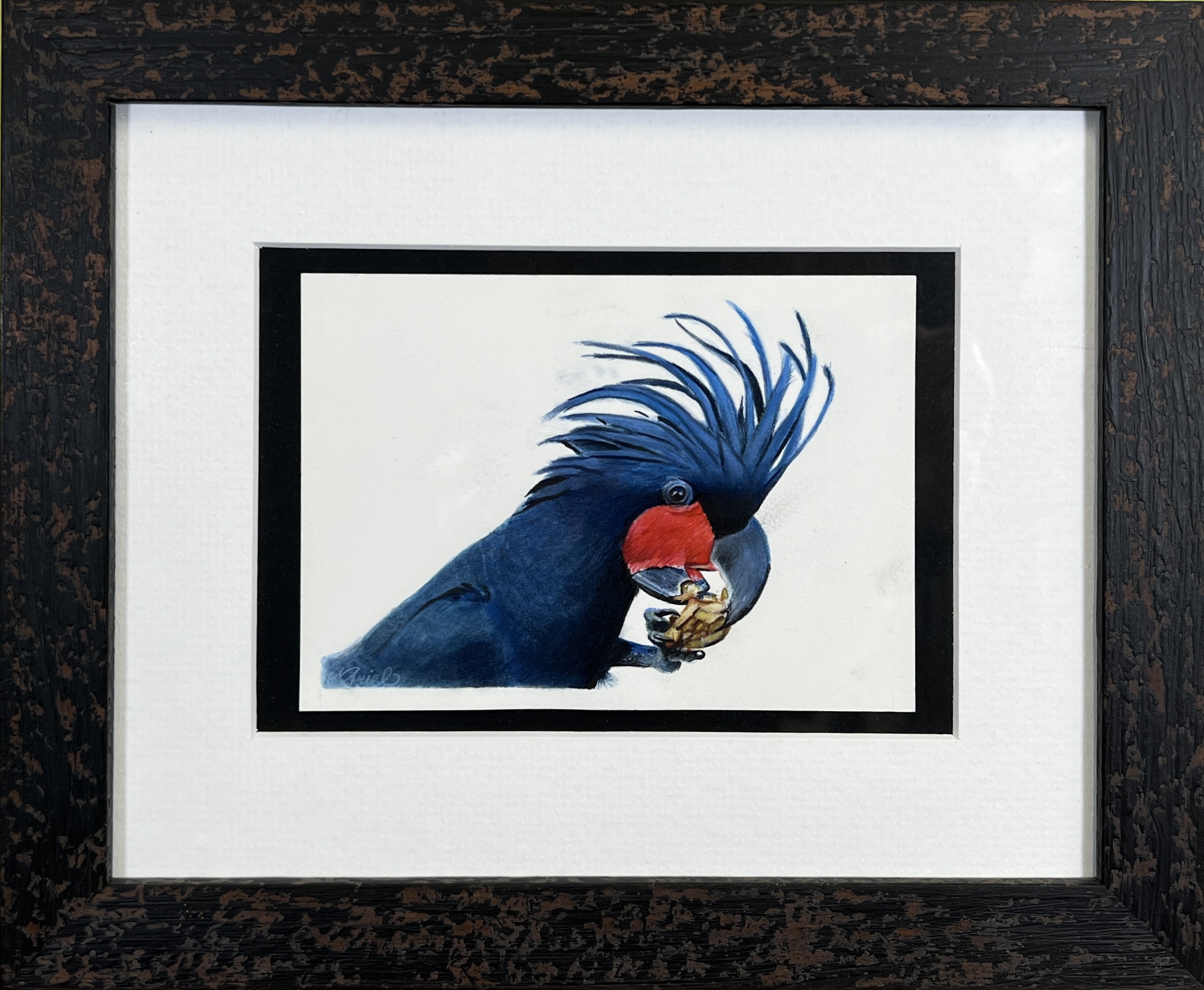 Image of framed Palm Cockatoo by Michaelah Baburin