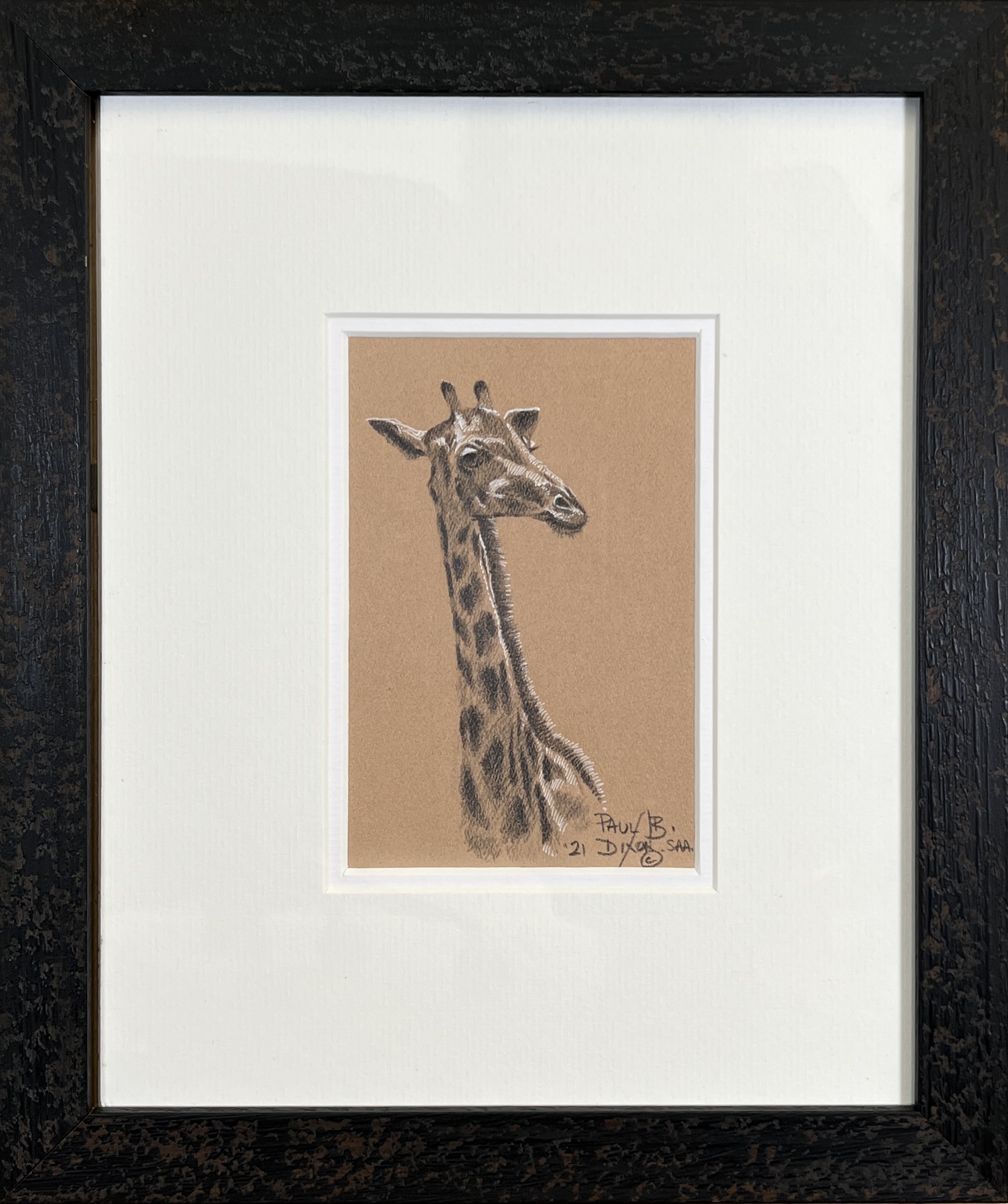 Image of framed Giraffe by Paul Dixon