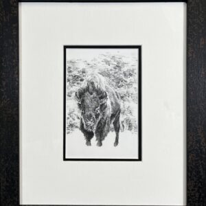Image of framed Bison by Jung Jang
