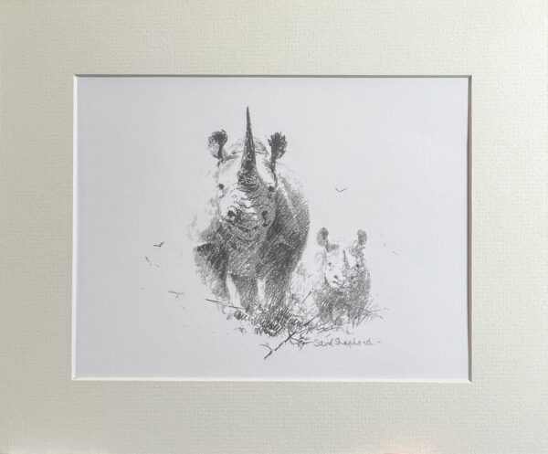 Image of David Shepherd Rhino Wildlife Sketch print