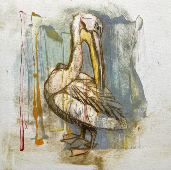 Image of Pelican Study 01 by Polly Hosp