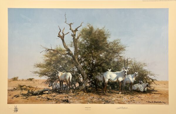 Image of Arabian Oryx by David Shepherd