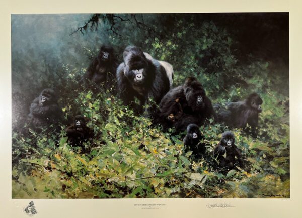 Image of Mountain Gorillas of Rwanda by David Shepherd