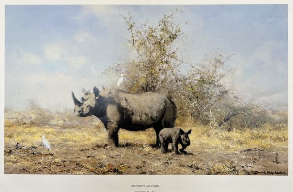 Image of The Rhino's Last Stand by David Shepherd