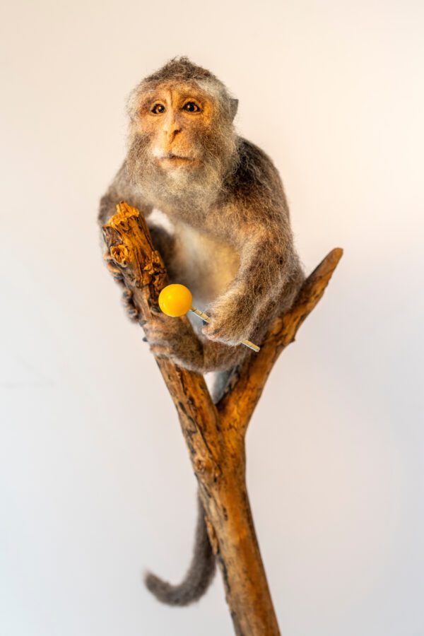 #WAY24MAIN33 Agnese Davies - Primate Negotiations