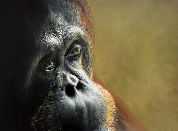 #WAY24MAIN99 Alice McConnel - Pensive