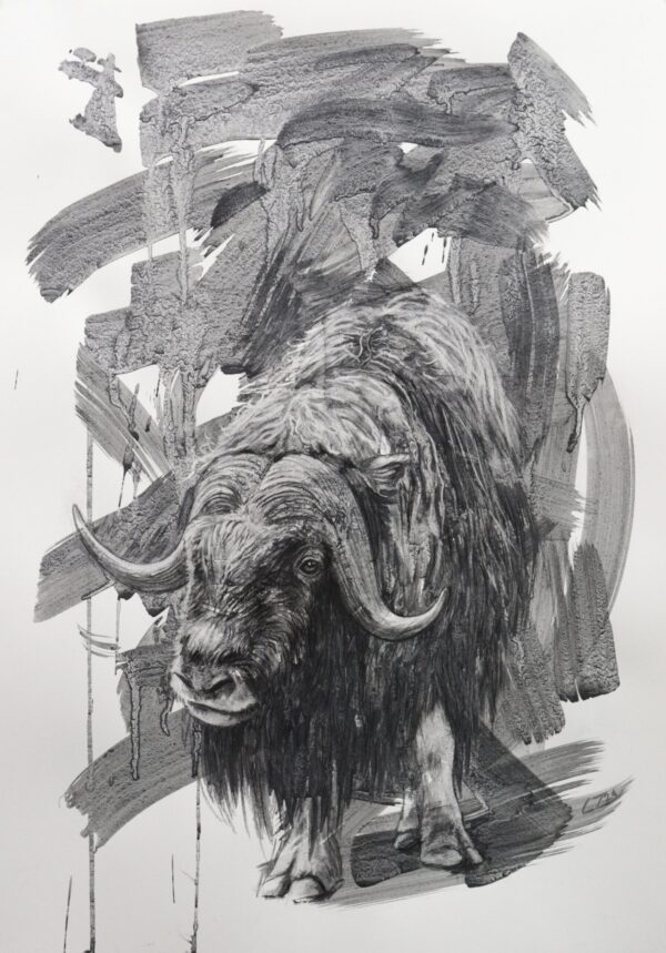 #WAY24MAIN174 Corinne Zollinger - Guardians of the North