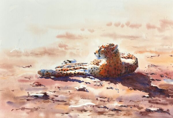 #WAY24MAIN22 Julia Cassels - Cheetah, Ode to Kafue
