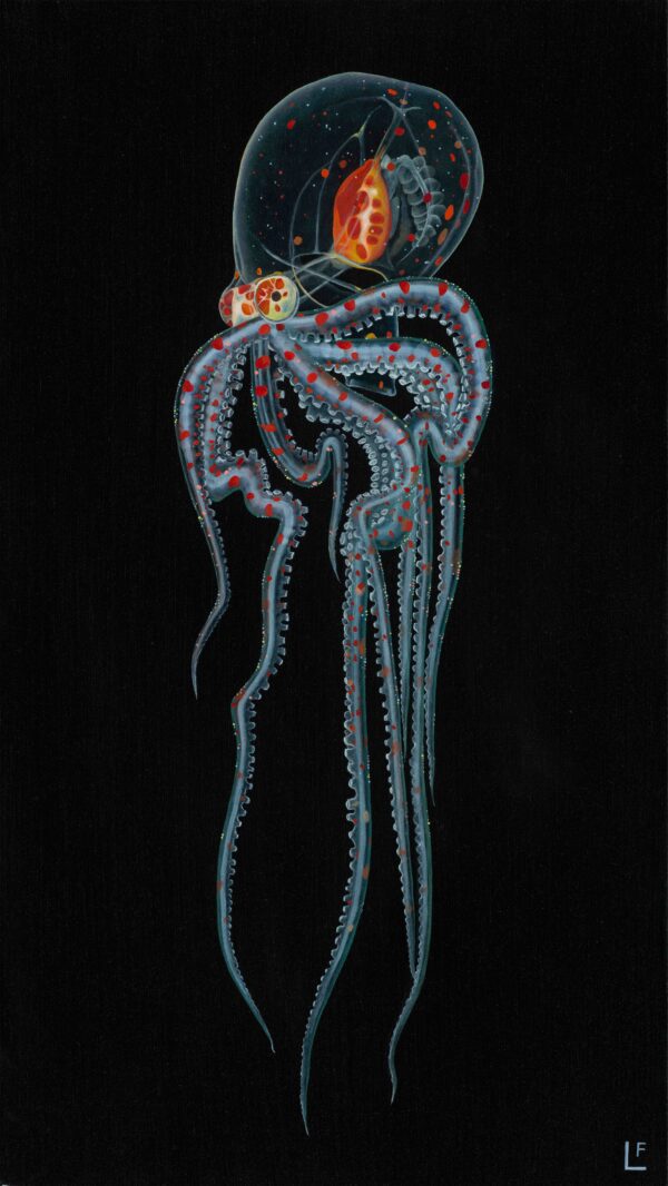 #WAY24MAIN48 Lea Fricke - Wunderpus