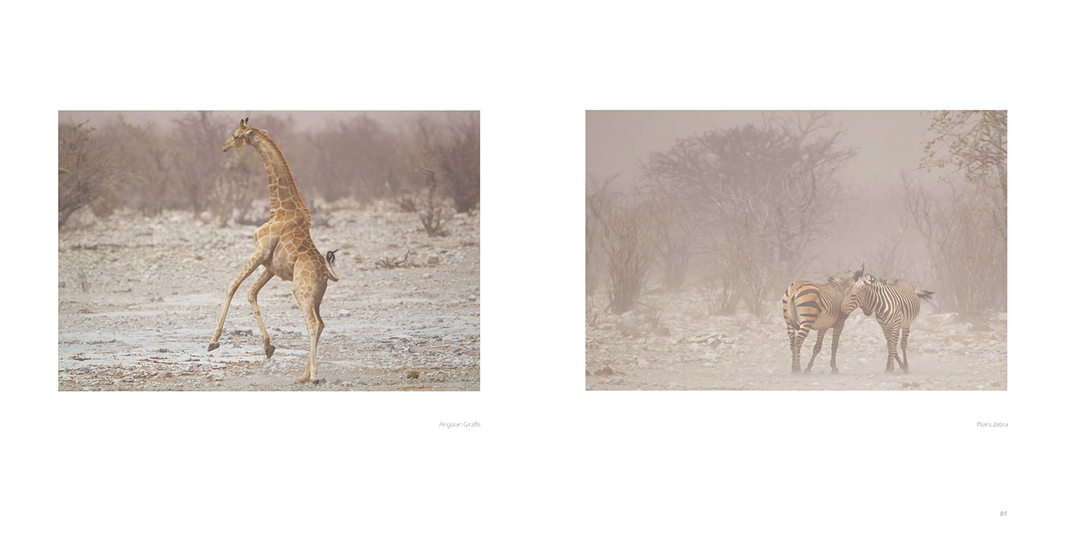 Image from Pete Downing book Etosha