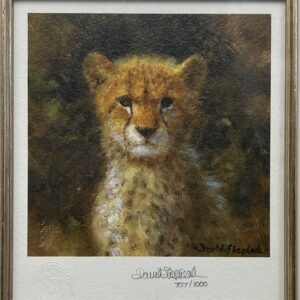 Miniature Cub Cheetah by David Shepherd